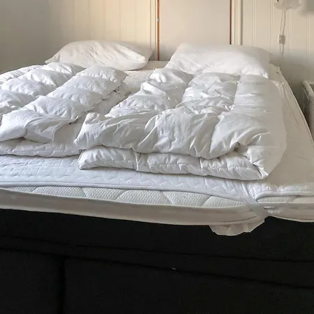 Hébergement de vacances 4 Star In I Romsdal Tornes